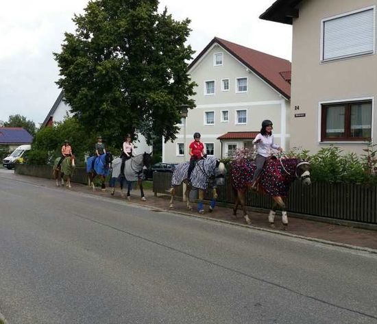 Unterricht: Motivierte Pferde