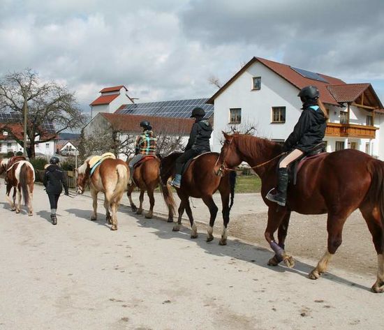 Unterricht: Motivierte Pferde