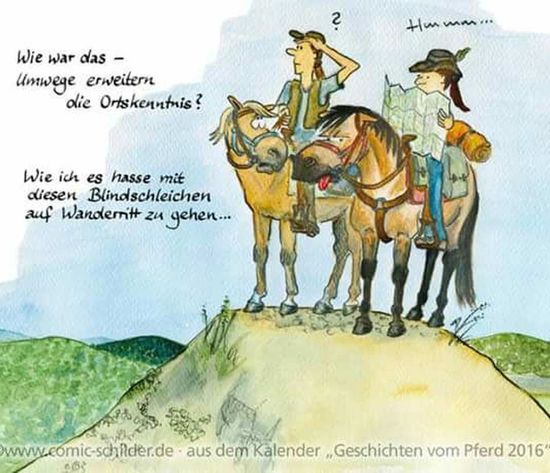 Unterricht: Motivierte Pferde