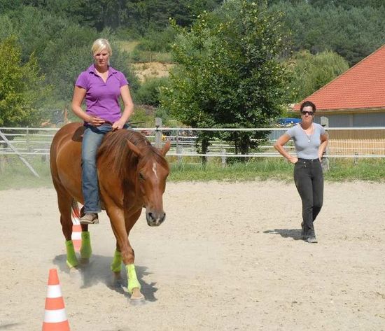 Unterricht: Motivierte Pferde